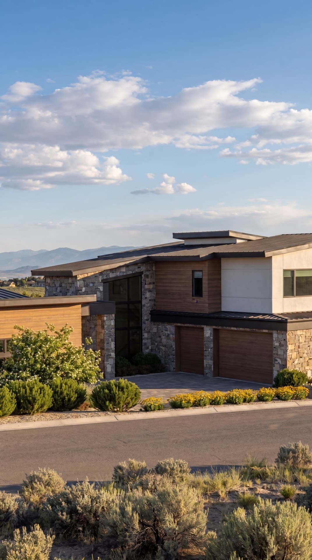 6832 Rabbit Brush — Reno